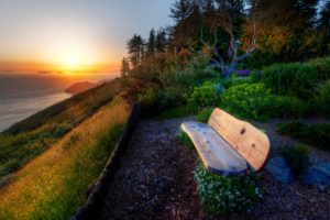 nature, Scenery, Bench, Plants, Flowers, Flowers, Herbs, Wood, Trees, Sea, Water, River, Sunset, Sun, Sky, Flora