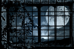 night, Window, Grille, Plant, Bindweed, Moon, Flock, Birds, Mood, Bokeh