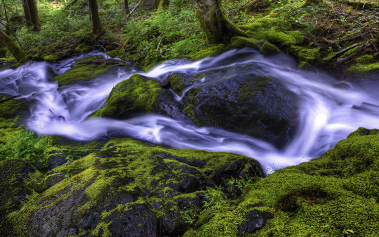 nature, Stream, Rocks, Moss, Water HD Wallpaper Desktop Background