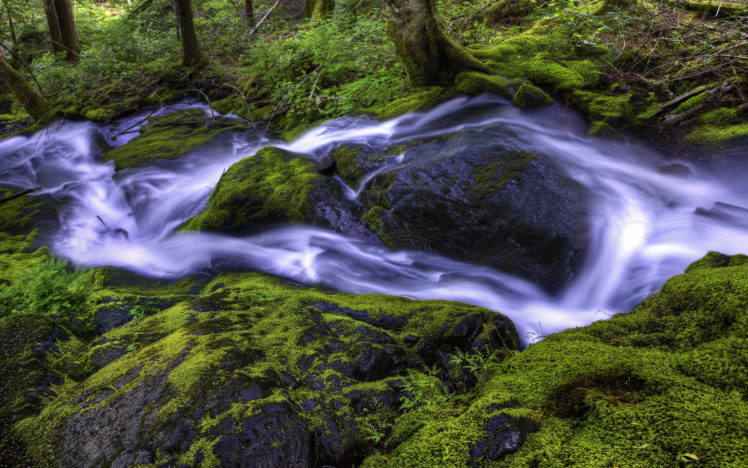 nature, Stream, Rocks, Moss, Water