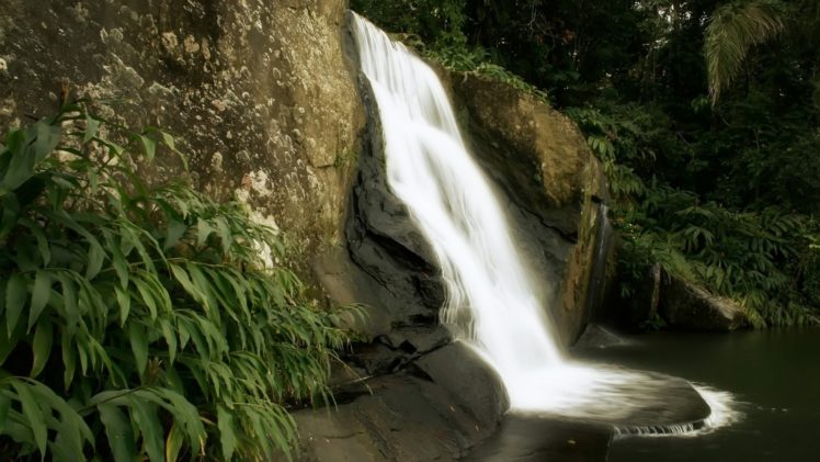 rocks, Nature, Jungle, Waterfall HD Wallpaper Desktop Background