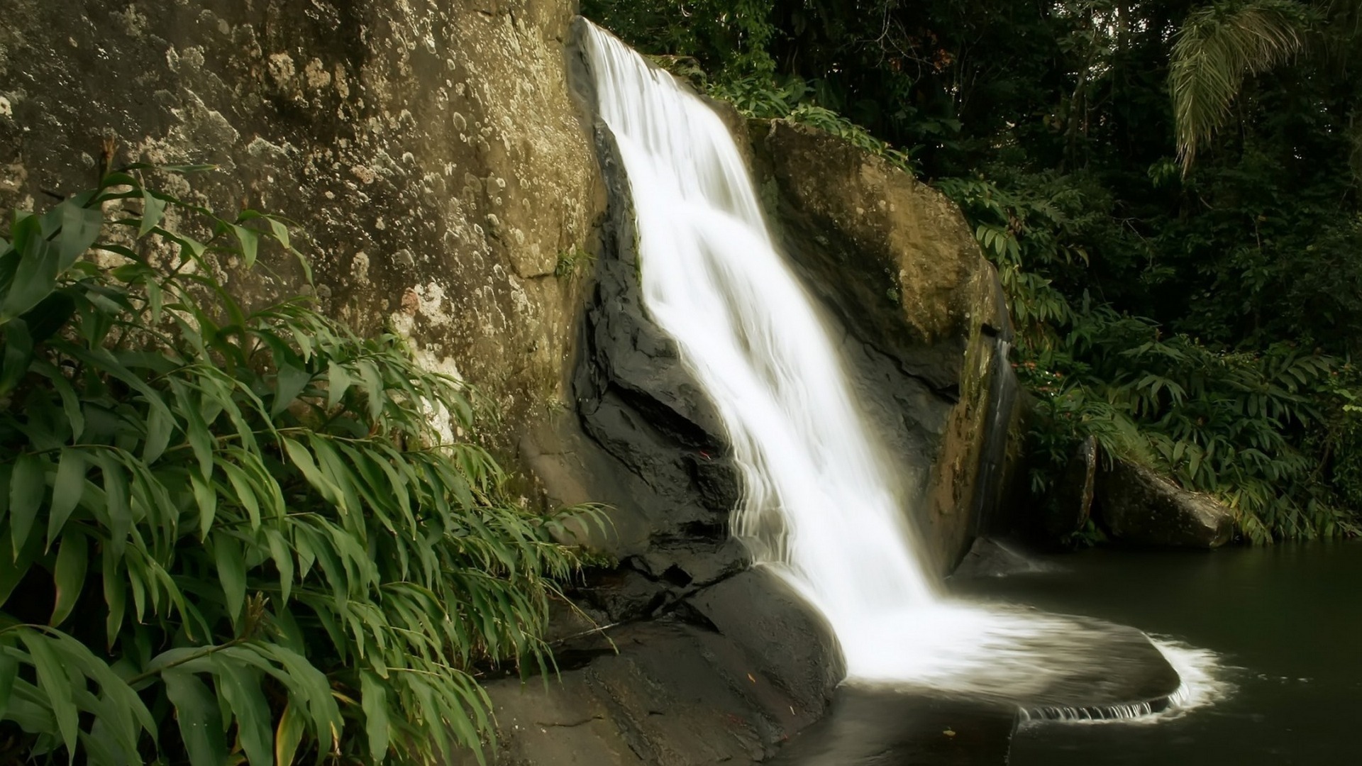rocks, Nature, Jungle, Waterfall Wallpaper