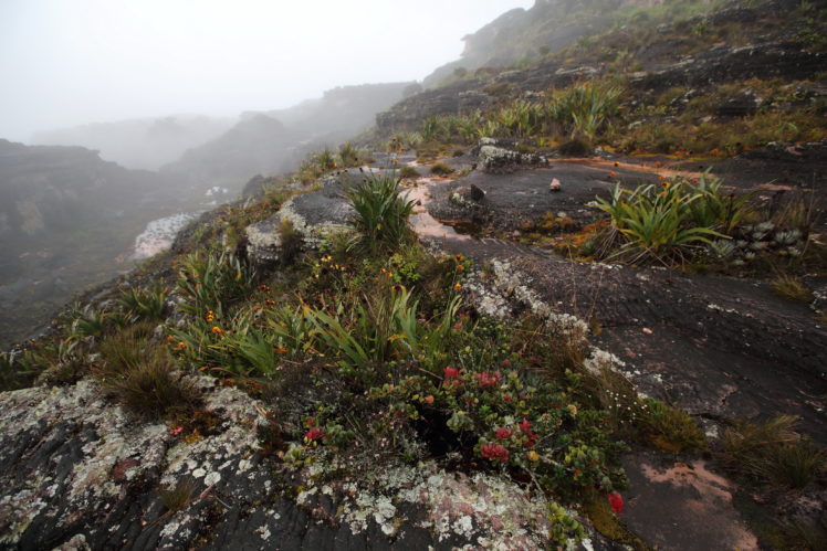 mountains, Venezuela, Fog, Nature HD Wallpaper Desktop Background