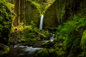 oregon, Waterfall, Forest, River, Mood