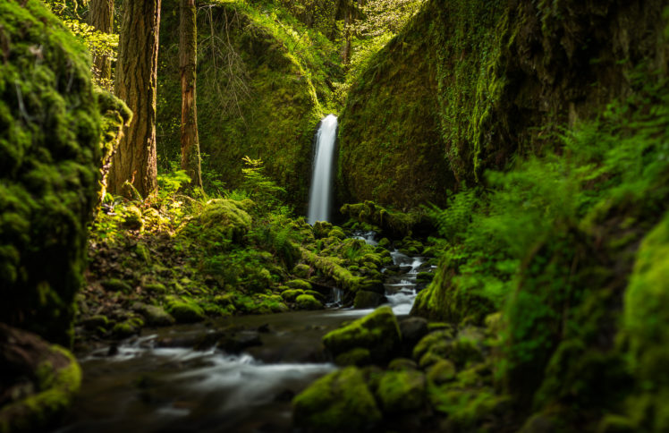 oregon, Waterfall, Forest, River, Mood HD Wallpaper Desktop Background