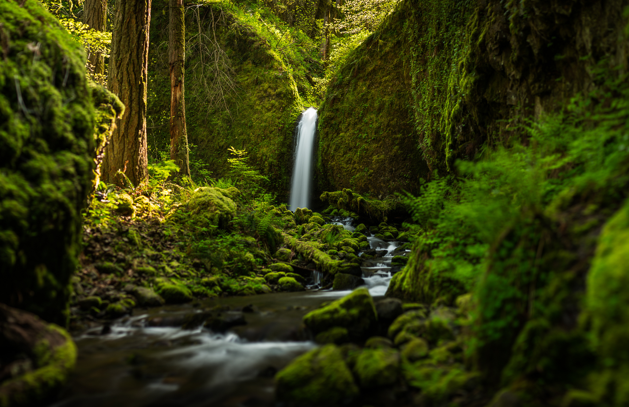 oregon, Waterfall, Forest, River, Mood Wallpaper