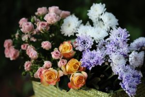 roses, Chrysanthemums, Flower, Buds, Bouquet
