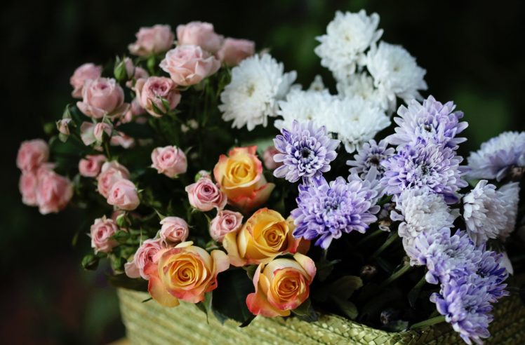 roses, Chrysanthemums, Flower, Buds, Bouquet HD Wallpaper Desktop Background