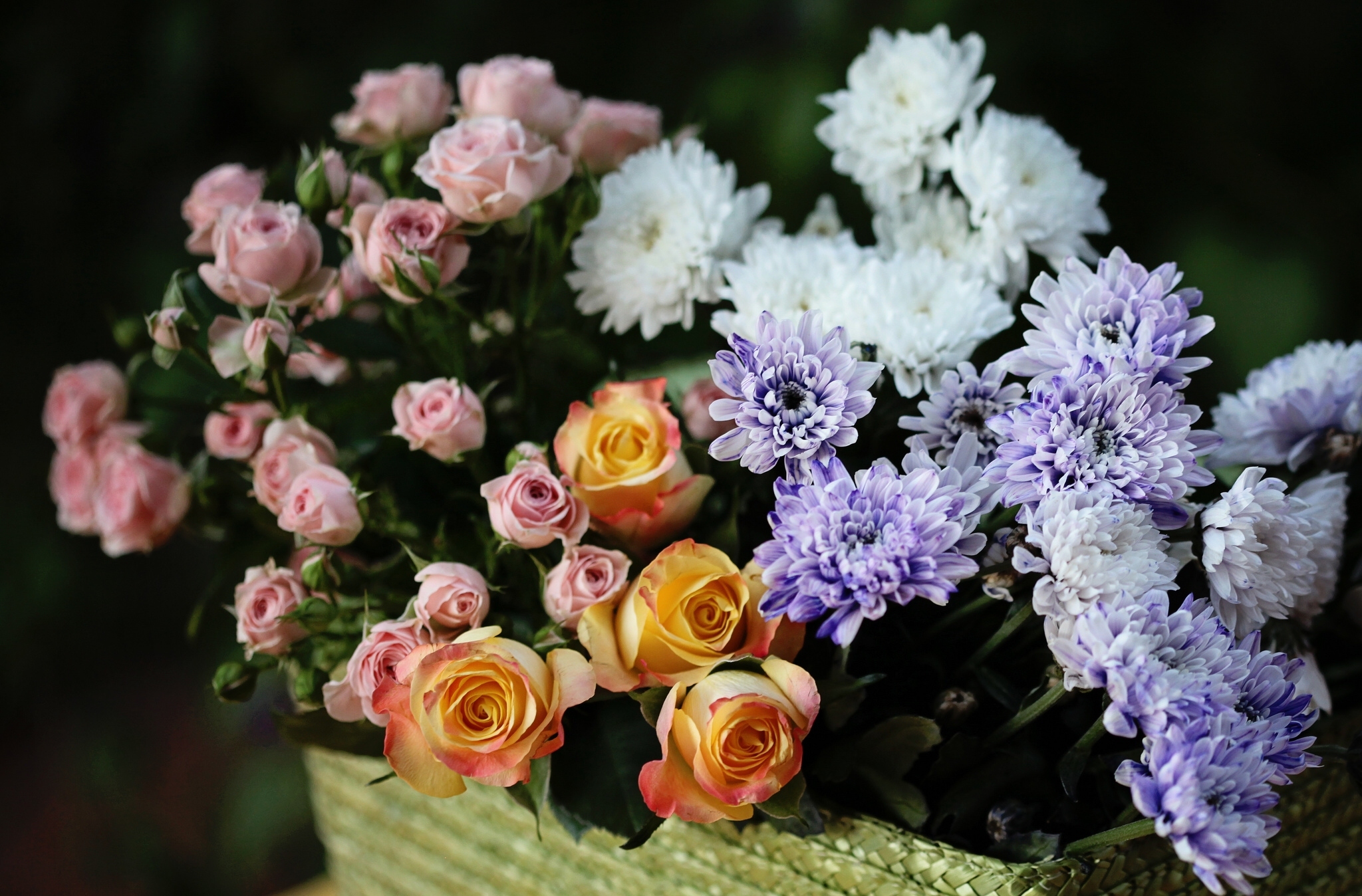 roses, Chrysanthemums, Flower, Buds, Bouquet Wallpaper