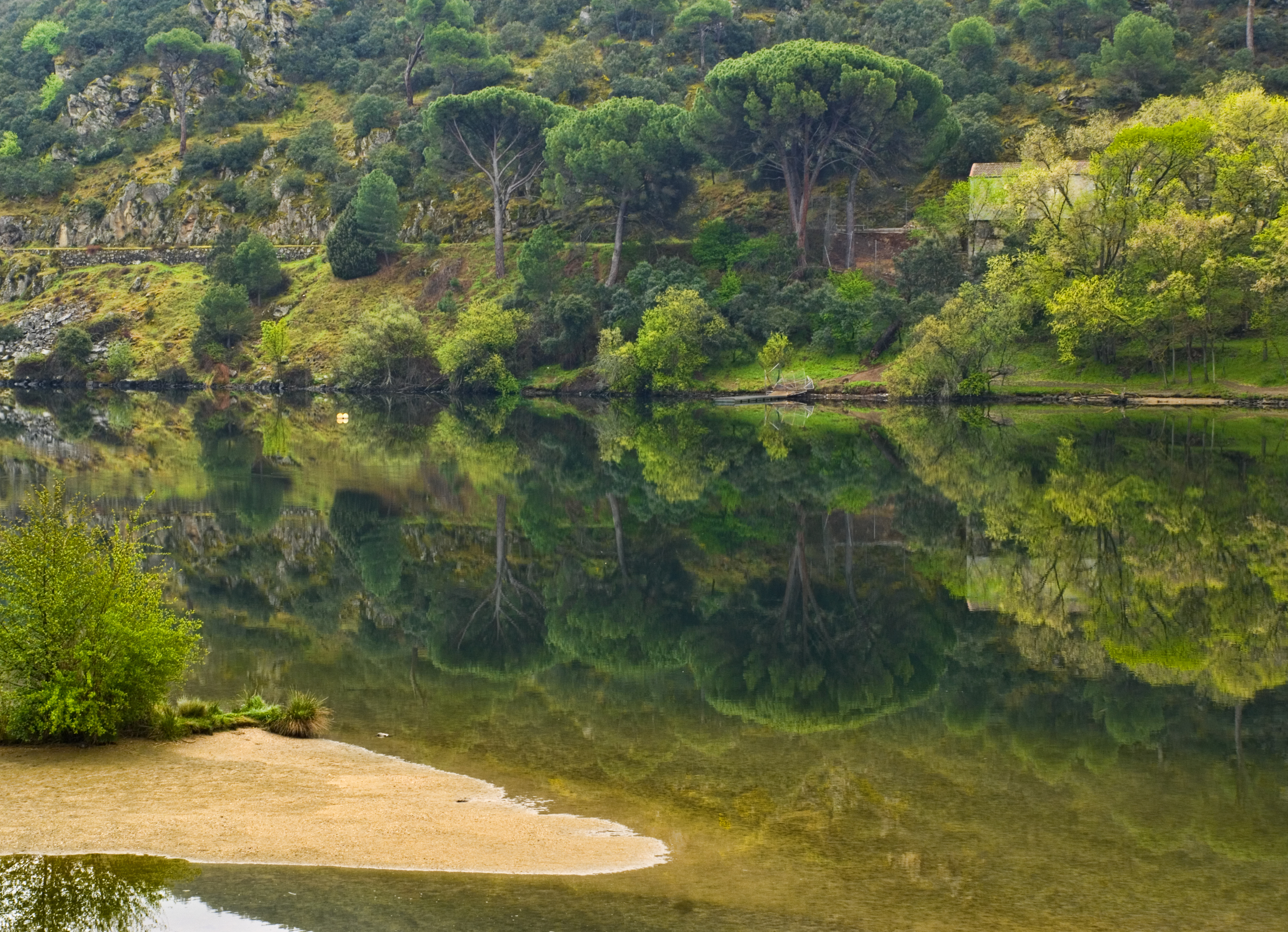 river, Xhosa, Island, Greens, Trees, Houses, Reflection Wallpaper