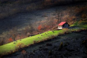 landscapes, Serbia