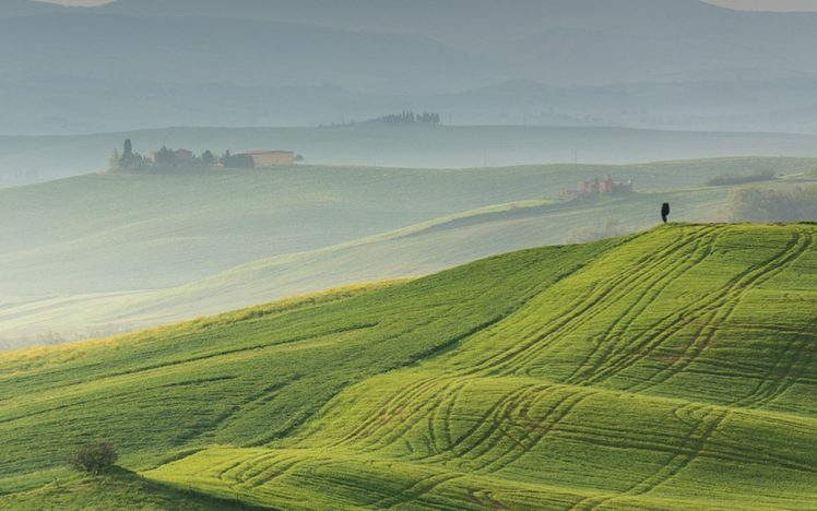 nature, Landscape, Field, Fog HD Wallpaper Desktop Background