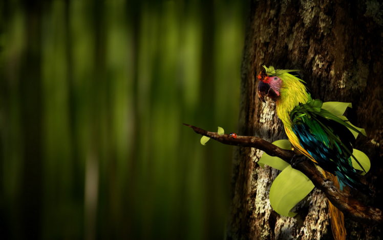 birds, Parrot HD Wallpaper Desktop Background