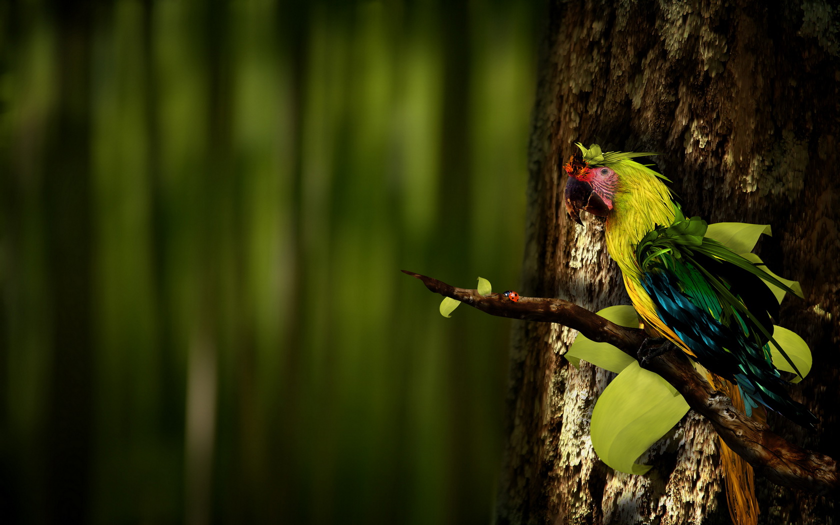 birds, Parrot Wallpaper