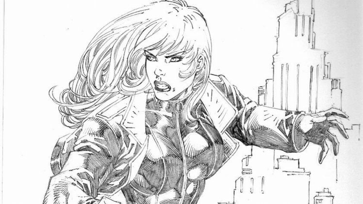 black canary, Dc comics, D c, Superhero, Girl, Black, Canary HD Wallpaper Desktop Background