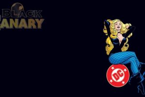 black canary, Dc comics, D c, Superhero, Girl, Black, Canary, Sc