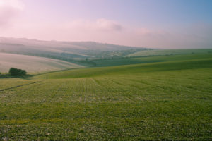 landscapes, Fields