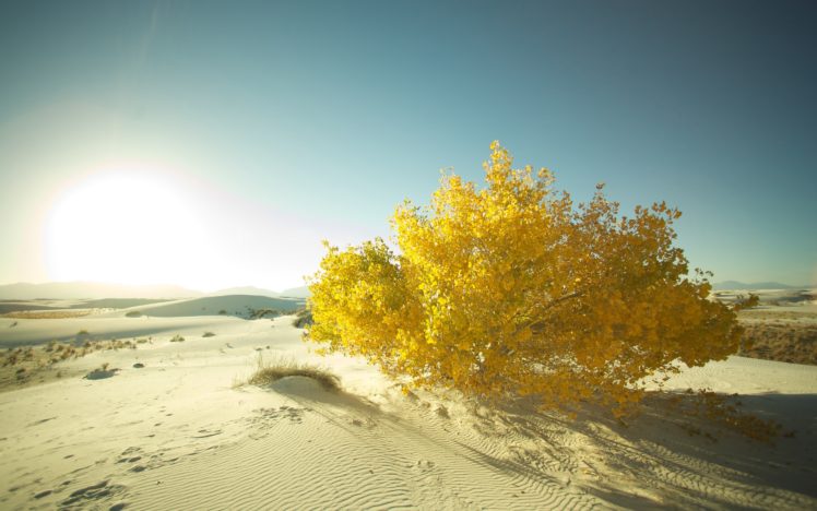 landscapes, Nature, Sand, Desert, Macro HD Wallpaper Desktop Background