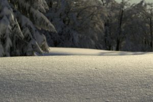 nature, Winter, Snow, Macro