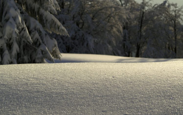 nature, Winter, Snow, Macro HD Wallpaper Desktop Background