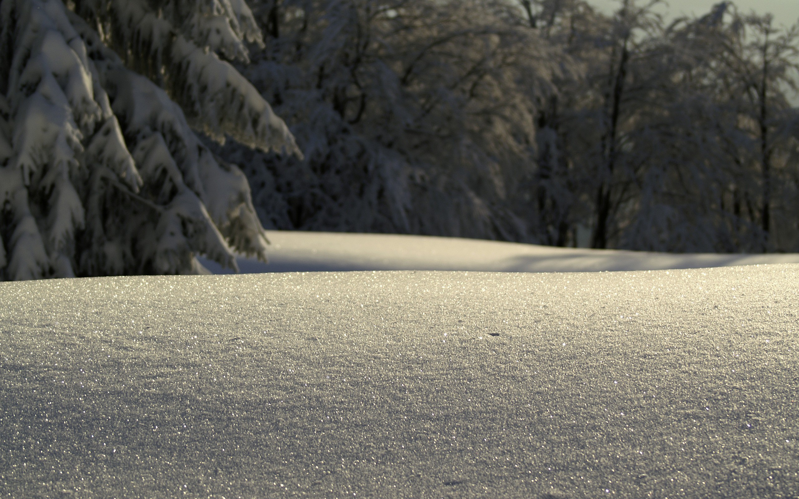 nature, Winter, Snow, Macro Wallpaper
