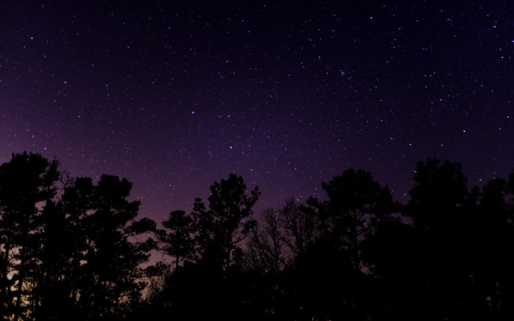 night, Stars, Stargazer, Skyscapes HD Wallpaper Desktop Background