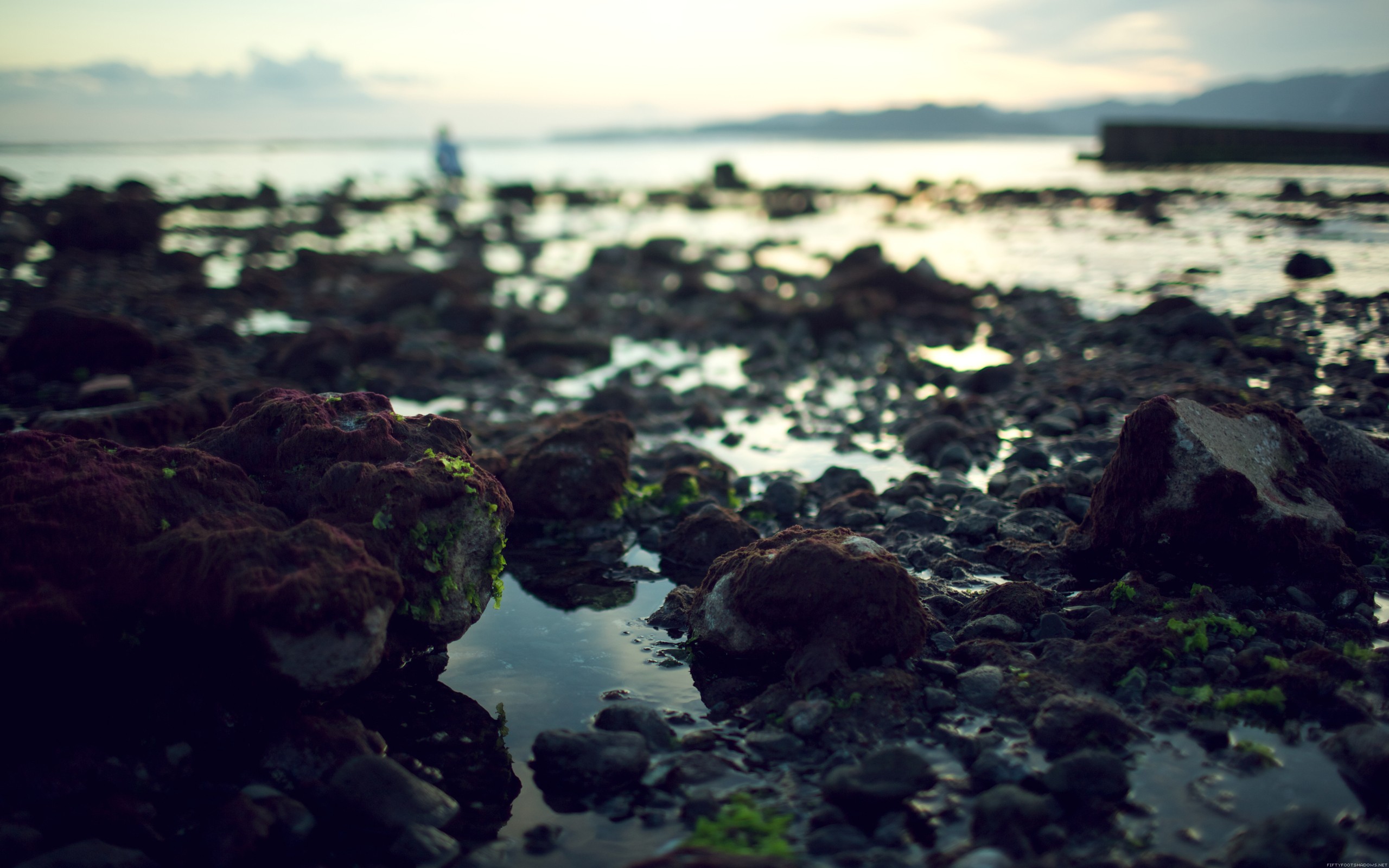 landscapes, Rocks, Dirt, Seaside Wallpaper