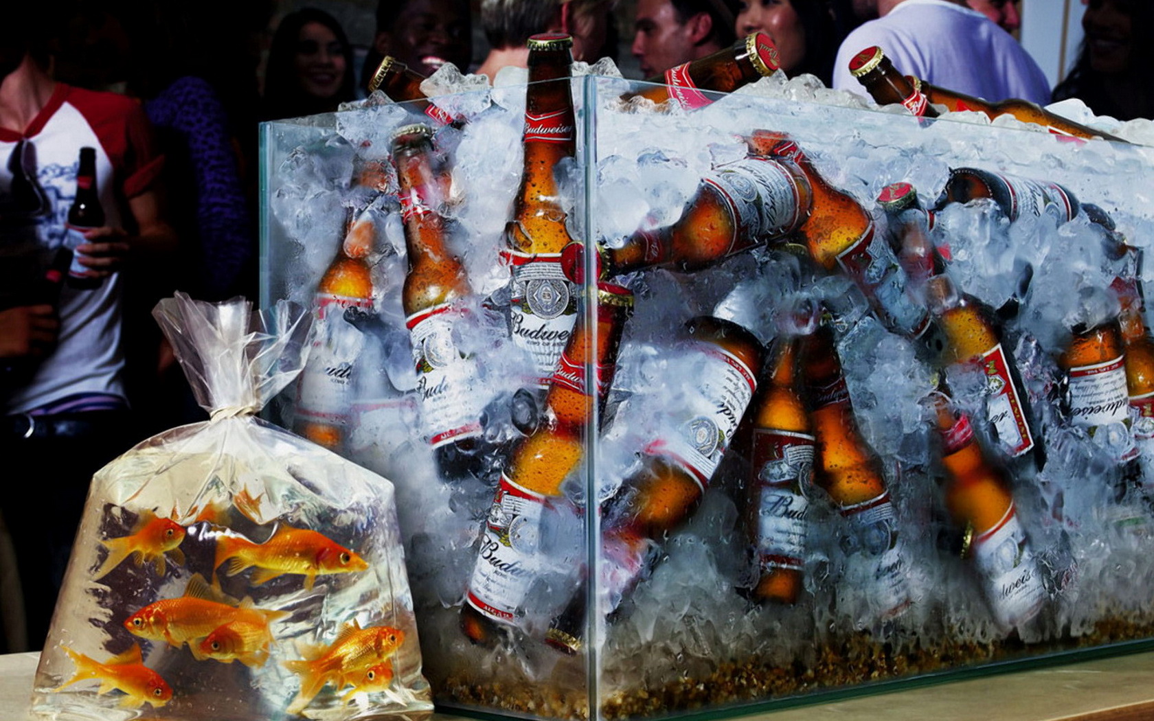 beer Wallpaper
