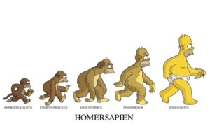 homer, Simpson, Evolution, The, Simpsons, White, Background