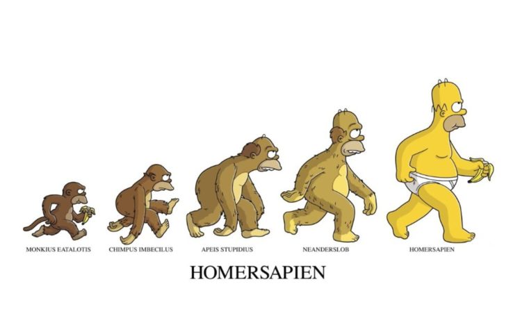 homer, Simpson, Evolution, The, Simpsons, White, Background HD Wallpaper Desktop Background