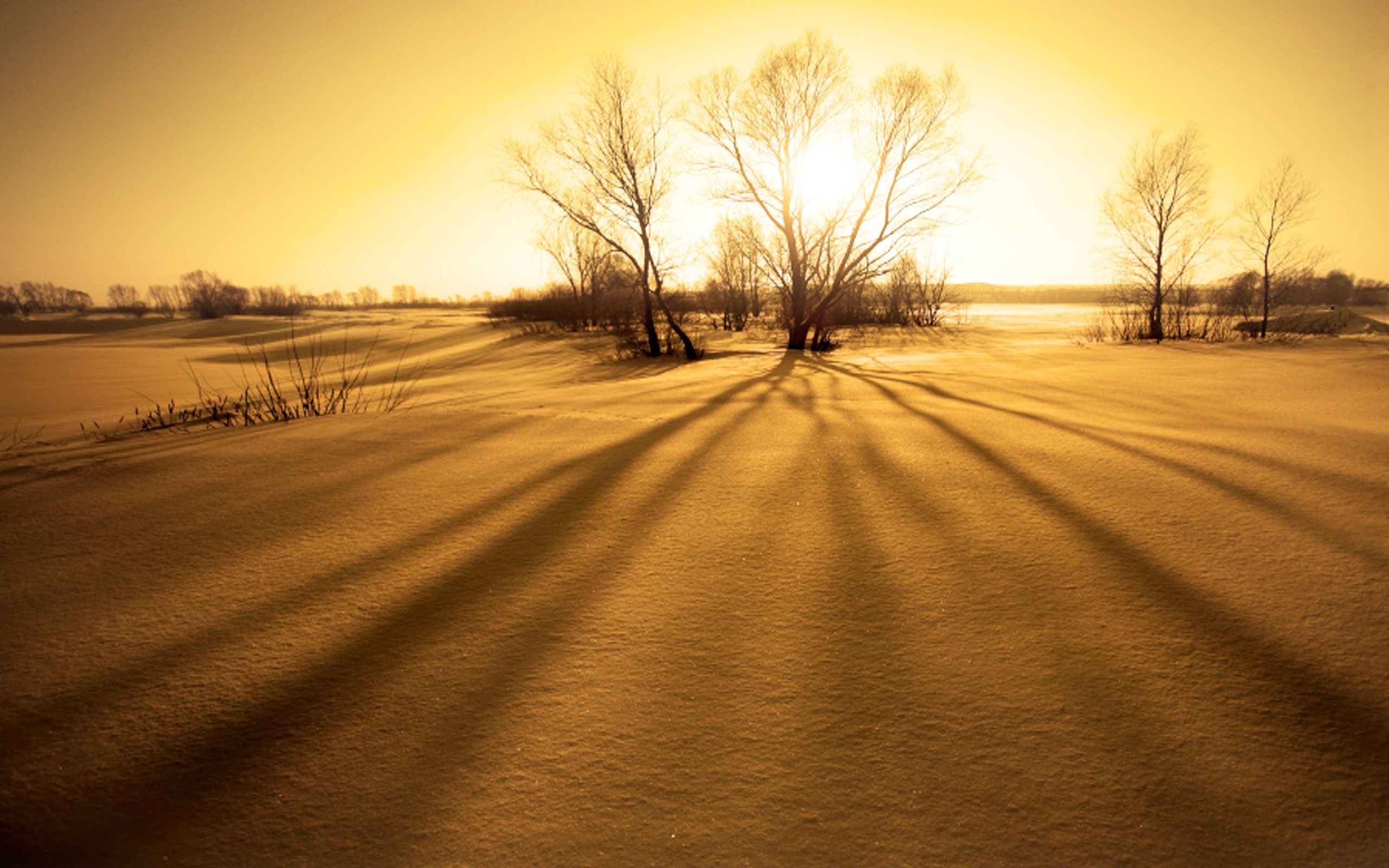 sunset Wallpaper