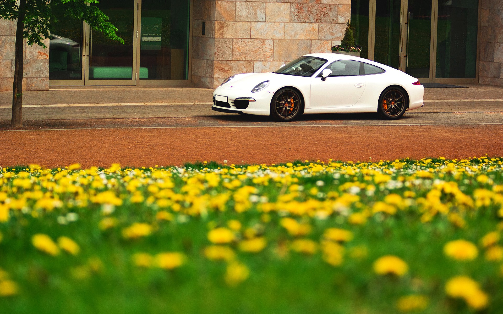 white, Flowers, Porsche, Cars, Porsche, 911 Wallpaper