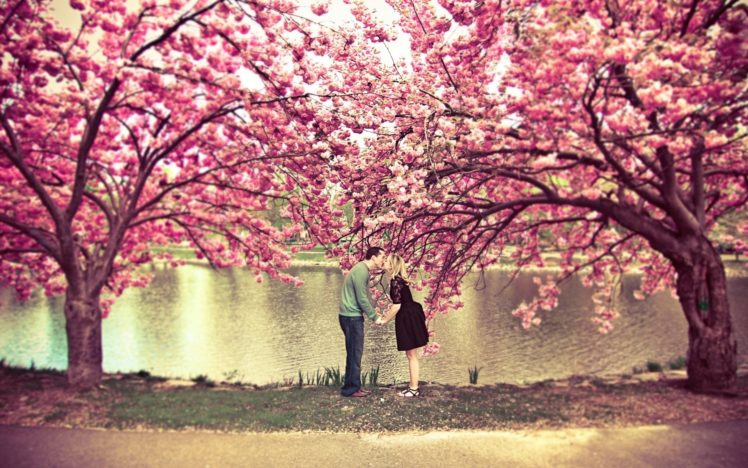 love, Trees, Pink, Kissing, Rivers HD Wallpaper Desktop Background