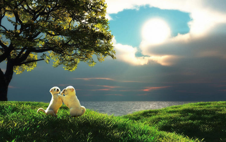 sea, Tree, Grass, Puppies, Puppy, Photoshop, Ocean, Mood, Cute, Sky, Clouds HD Wallpaper Desktop Background