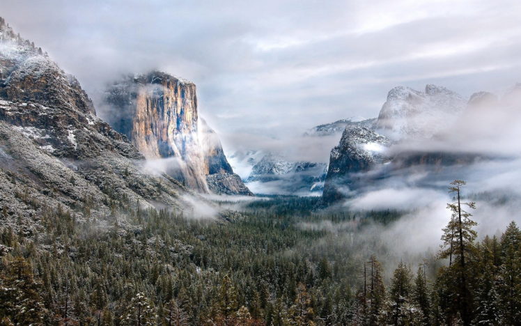 snow, Mountains, Landscape, Clouds, Forest, Mist, Fog, Winter HD Wallpaper Desktop Background