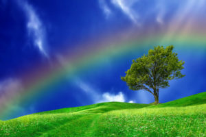 hills, Tree, Rainbow, Landscape