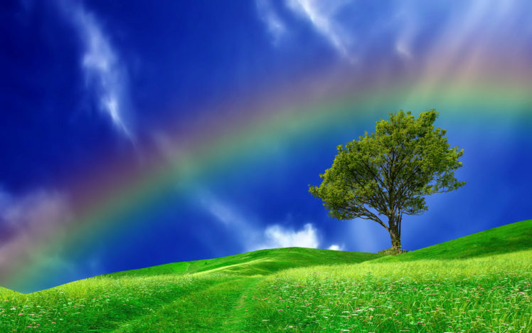 hills, Tree, Rainbow, Landscape HD Wallpaper Desktop Background