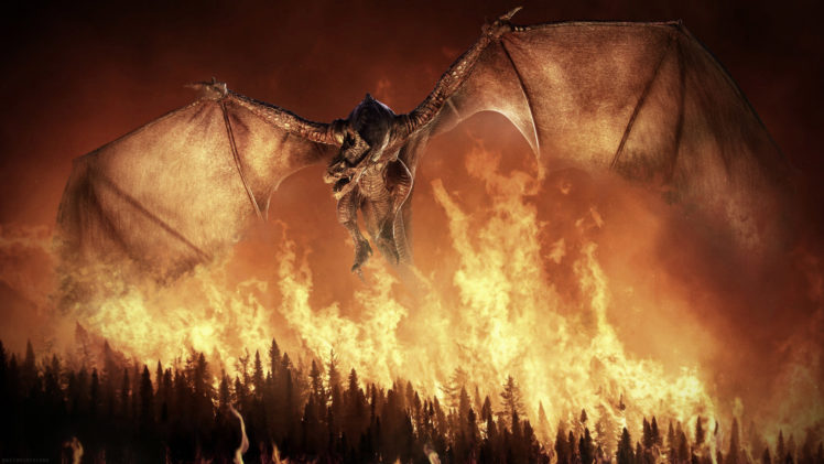 dragon, Fire, Wings, Flight, Forest HD Wallpaper Desktop Background