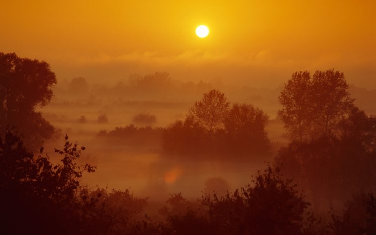 landscapes, Sun, Trees, Fog, Mist, Poland, Sunlight HD Wallpaper Desktop Background