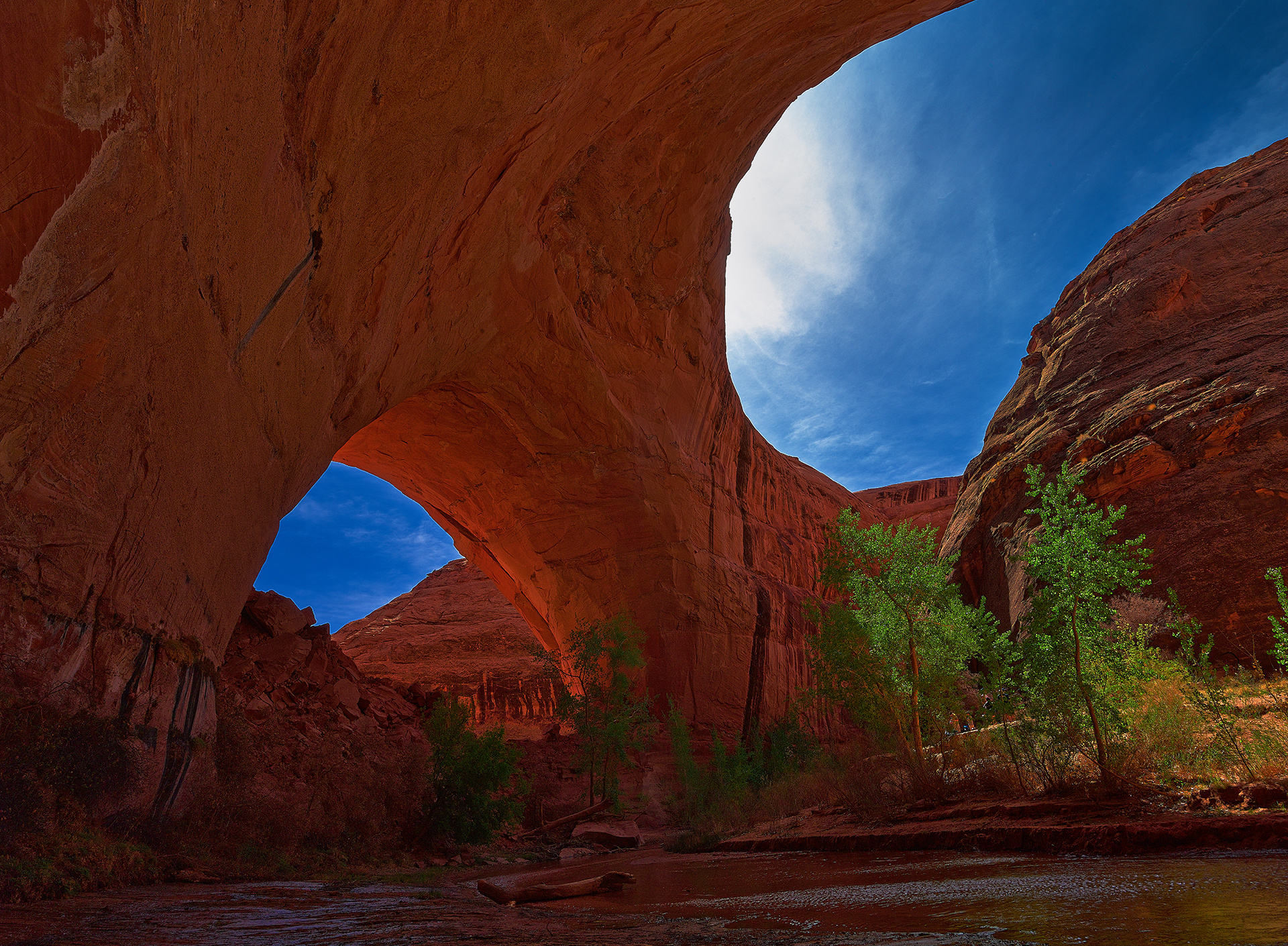 coyote, Gulch, Utah, Usa Wallpaper