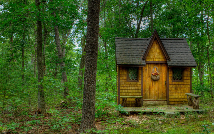 forest, House, Trees, Nature, Landscape HD Wallpaper Desktop Background