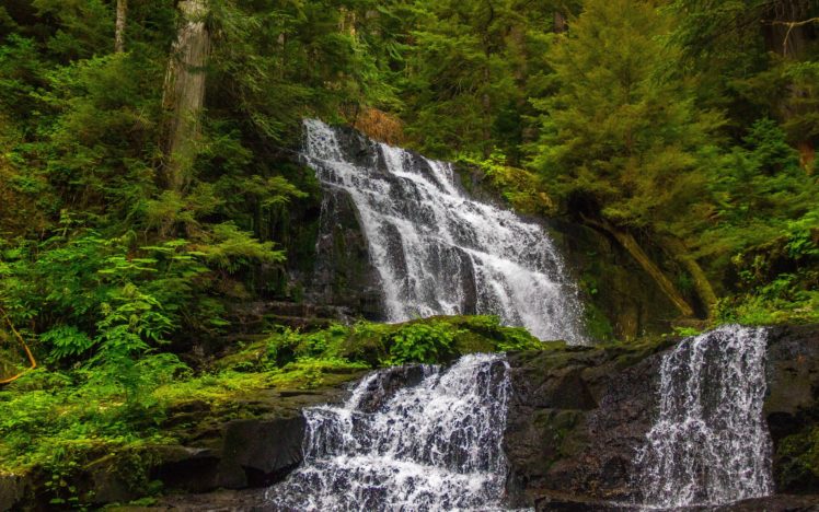 forest, Trees, Waterfall, Cascade, Nature HD Wallpaper Desktop Background