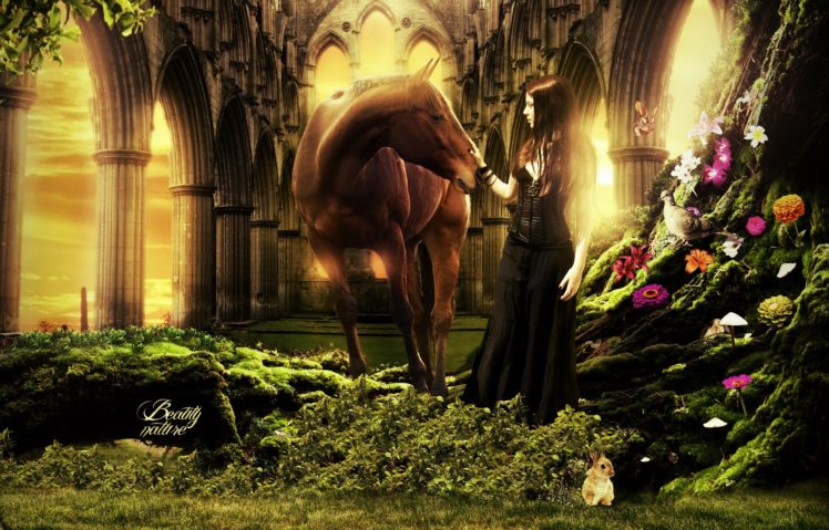 girl, Horse HD Wallpaper Desktop Background