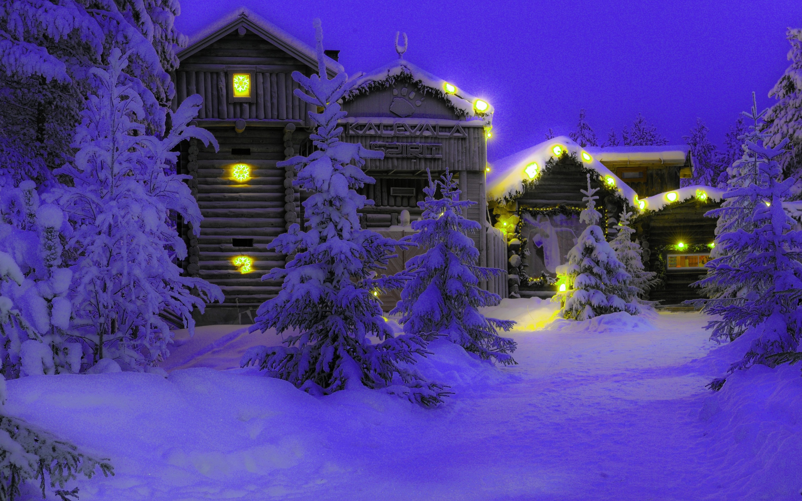 lapland, Snow, Night, Trees Wallpaper