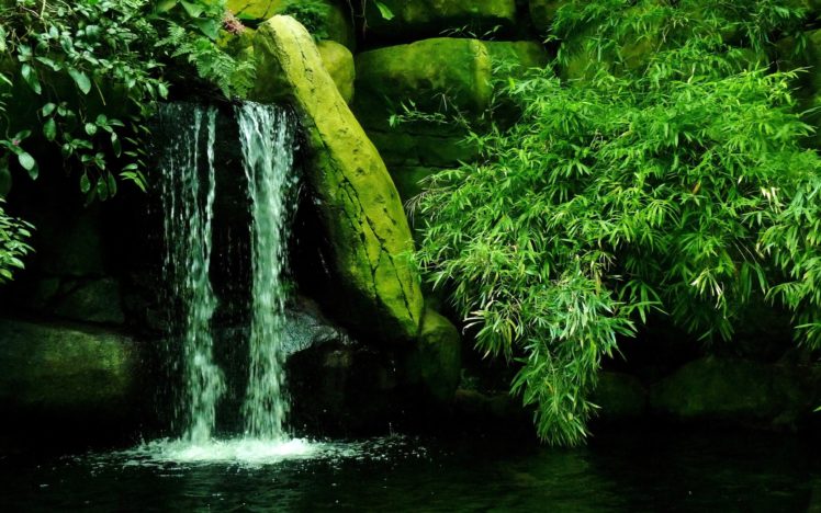 waterfall, Rocks, Bushes, Nature HD Wallpaper Desktop Background