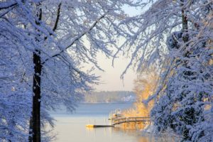 south, Carolina, Winter, Snow, Trees, Lake