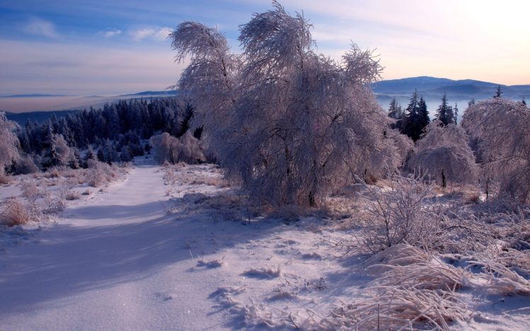 winter, Forest, Trees, Snow, Landscape, Ga HD Wallpaper Desktop Background