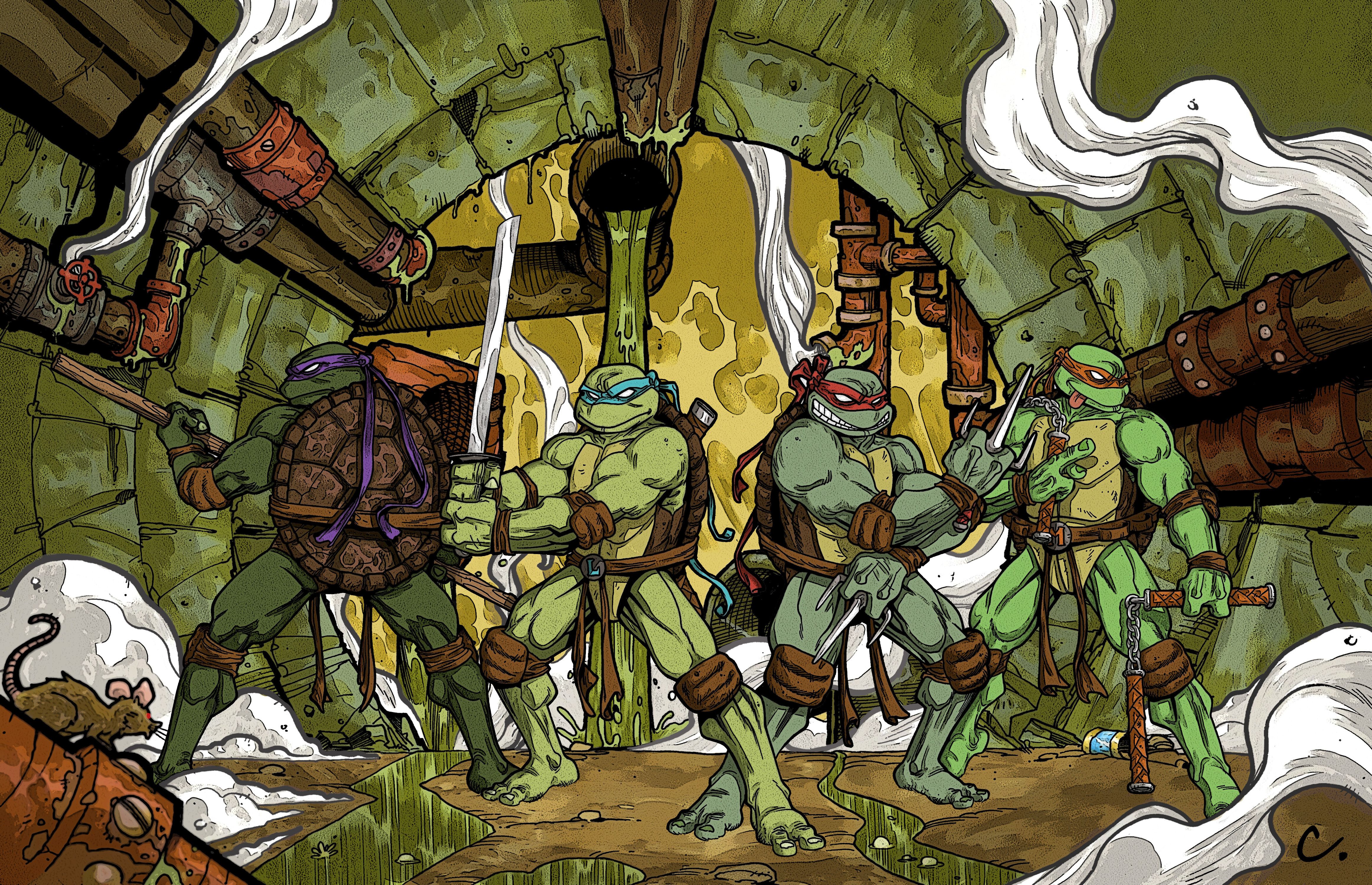 teenage, Mutant, Ninja, Turtles, Warrior, Cartoon Wallpaper