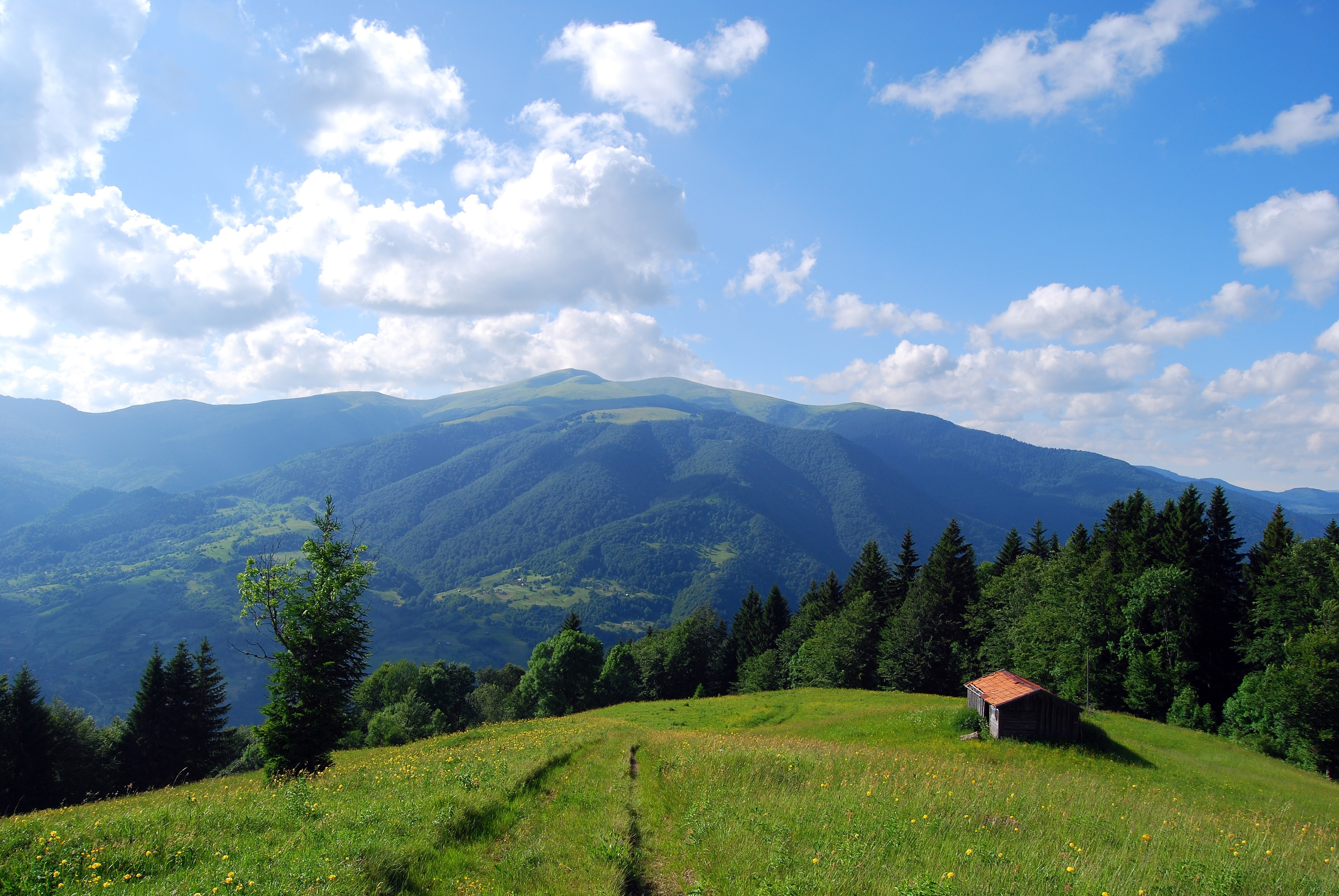 mountains, Carpathians, House, Field, Landscape Wallpaper