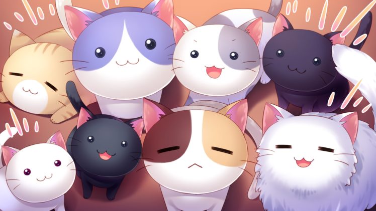 nyan, Cafe, Macchiato, Animal, Cat, Cat, Smile, Game, Cg, Nyan, Cafe, Macchiato, Skyfish, Yukie HD Wallpaper Desktop Background
